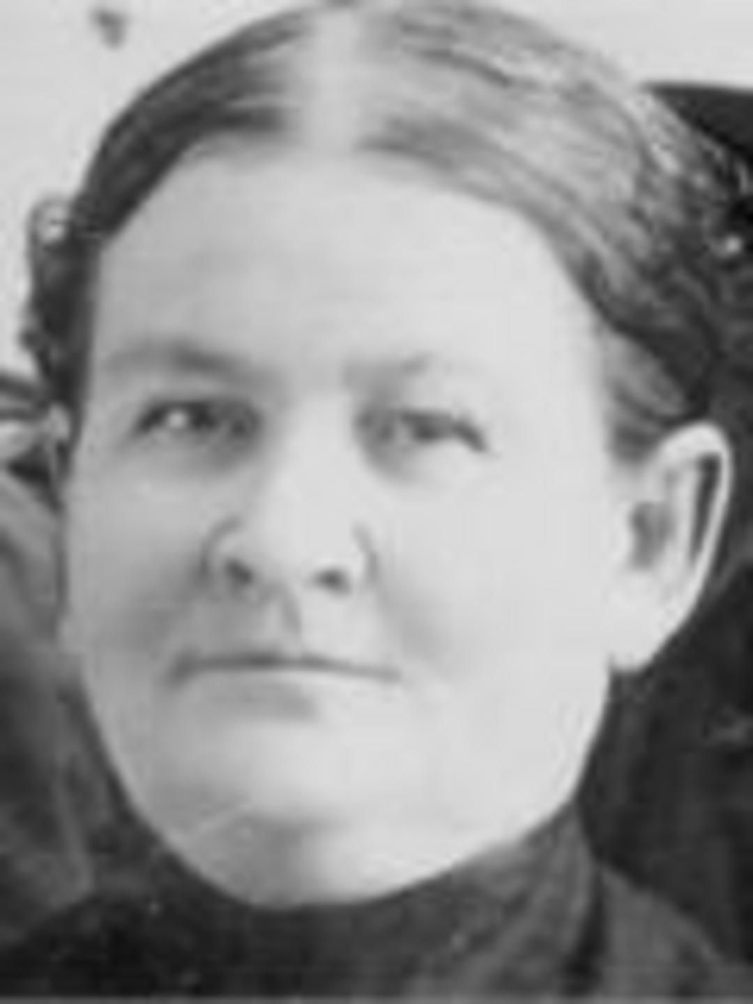 Mary Melvina Browning (1840 - 1931) Profile
